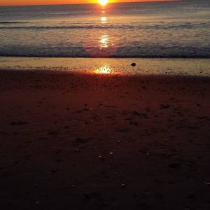 Meet your Posher, Carolina